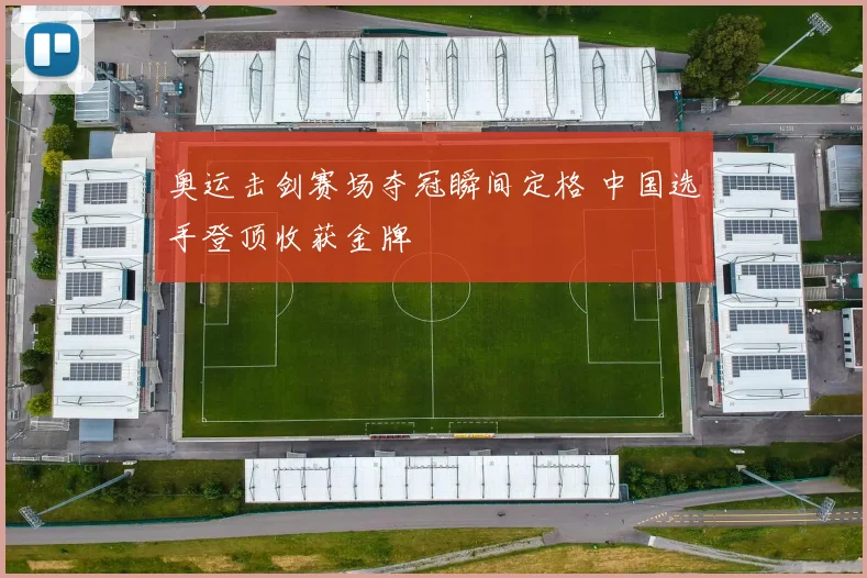奥运击剑赛场夺冠瞬间定格 中国选手登顶收获金牌