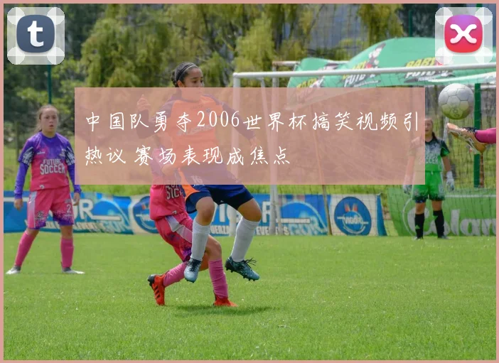 中国队勇夺2006世界杯搞笑视频引热议 赛场表现成焦点
